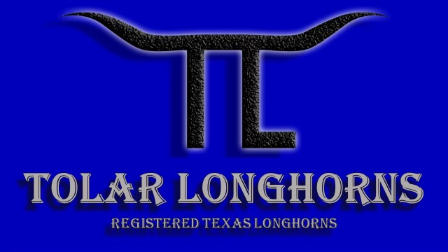 Tolar Longhorns logo